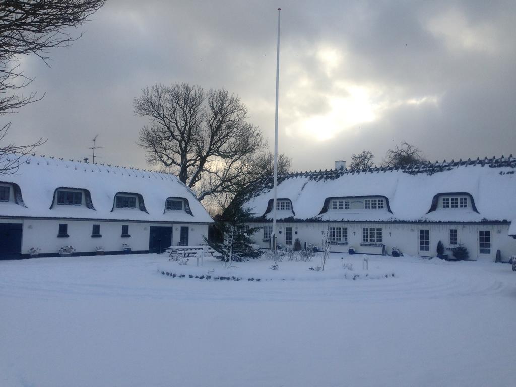 Affittacamere Rane Ladegaard Ebeltoft Esterno foto